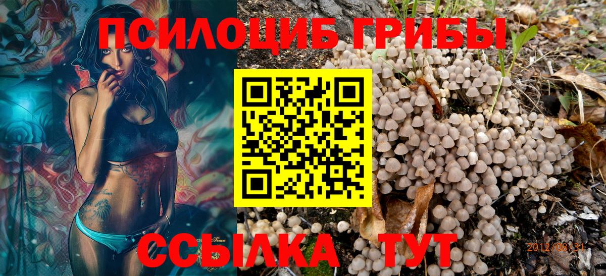 Псилоцибиновые грибы ЛСД Нурлат