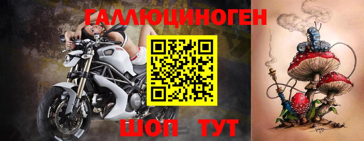 Псилоцибиновые грибы Cubensis  наркота  Нурлат  Галлюциногенные грибы мицелий  Вход с VPN 